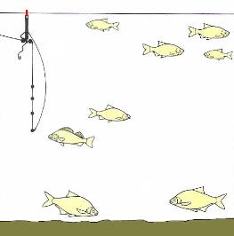 float fishing,wrong shotting