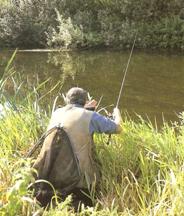 freelining, free line fishing, coarse fishing