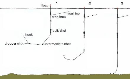 sliding float fishing,float fishing,slider float