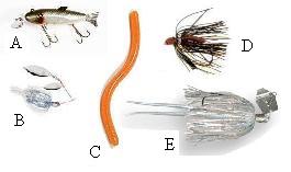 Typical Bass lures Typical lures used to catch Largemouth Bass
