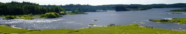 lets-go-fishing.org header Header image for the lets-go-fishing.org site